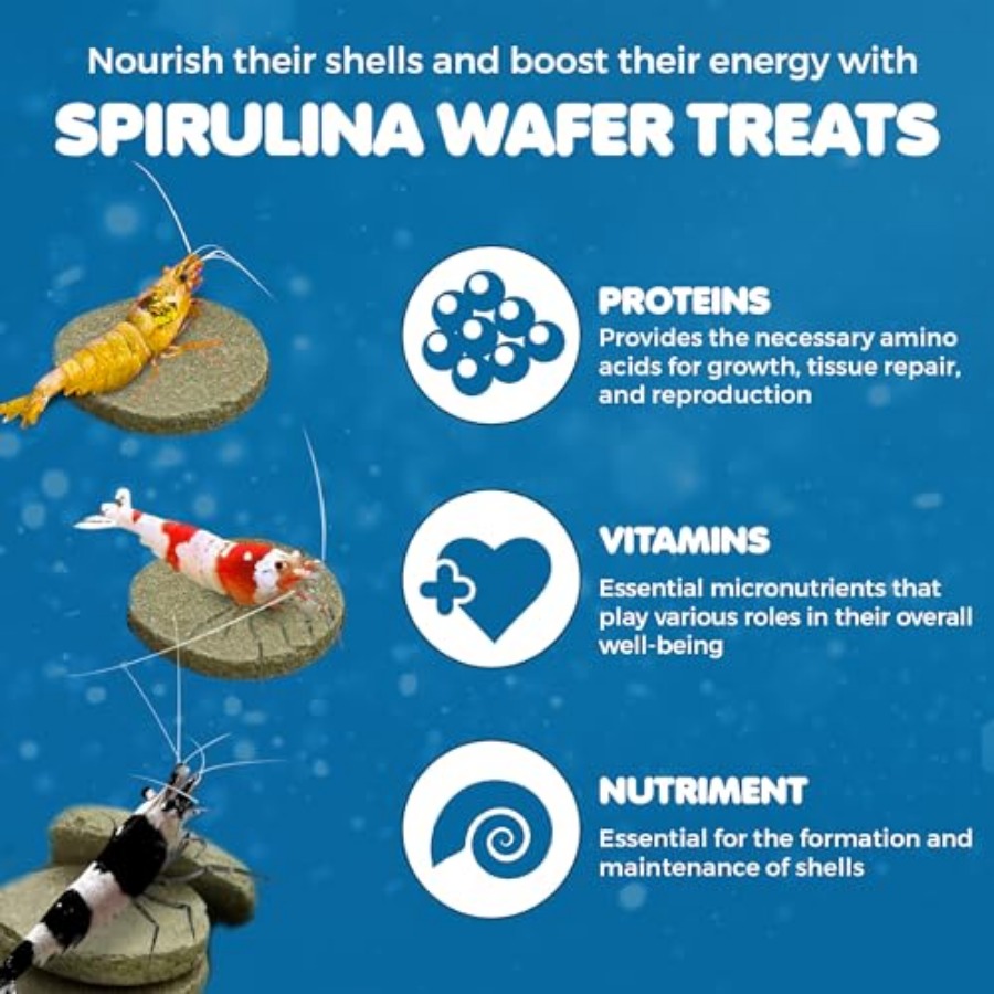 Spirulina Protein Wafers for S - Food Snacks With High Protein avaliação e preço