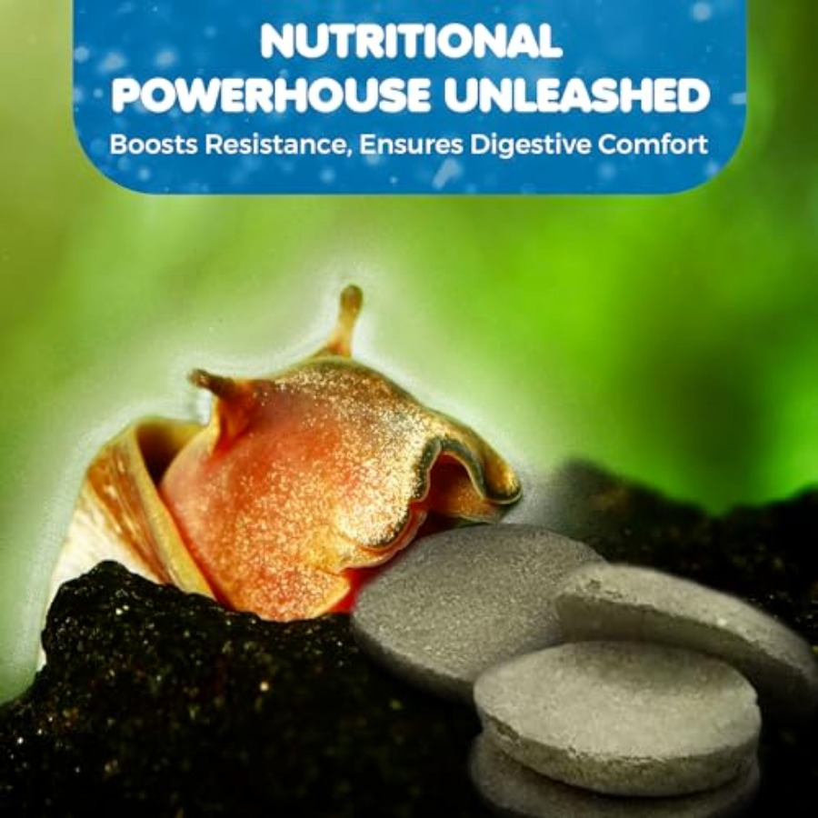 Spirulina Protein Wafers for S - Food Snacks With High Protein avaliação e preço
