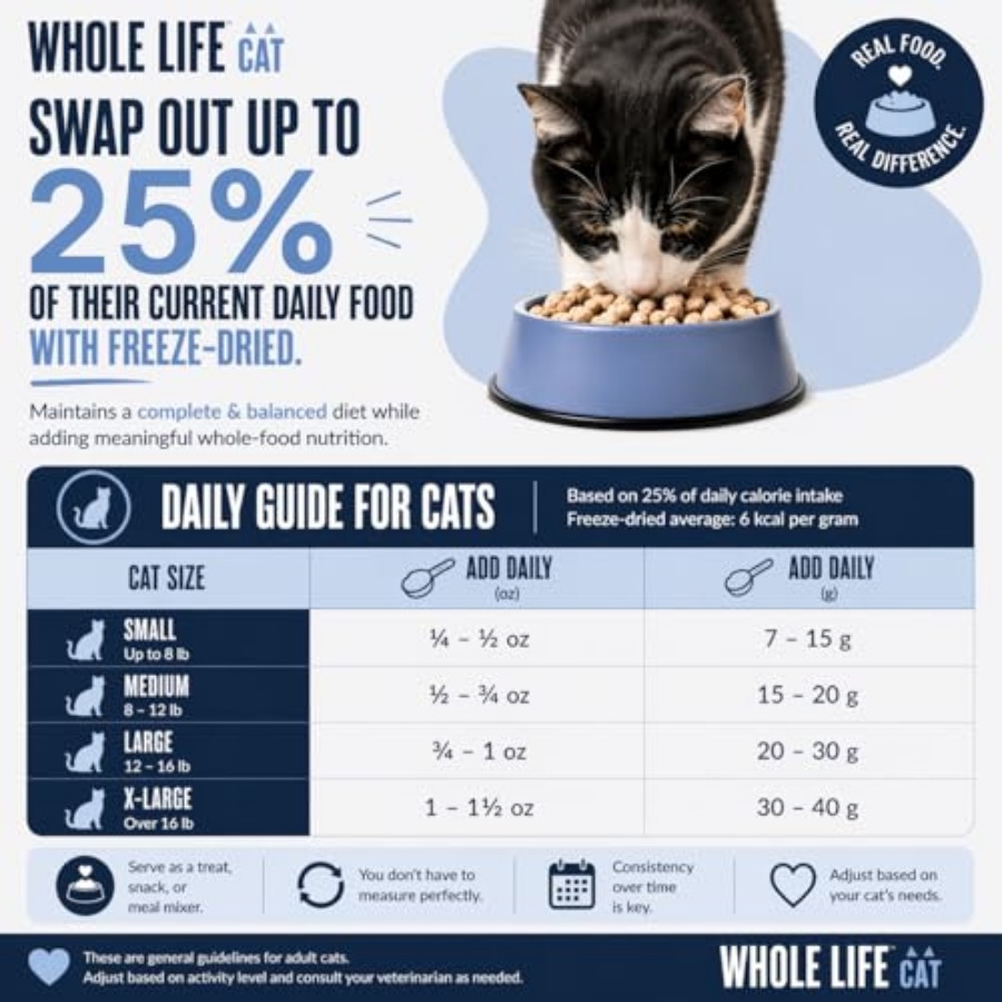 Whole Life Cat Just One Shrimp - Food Snacks With High Protein avaliação e preço